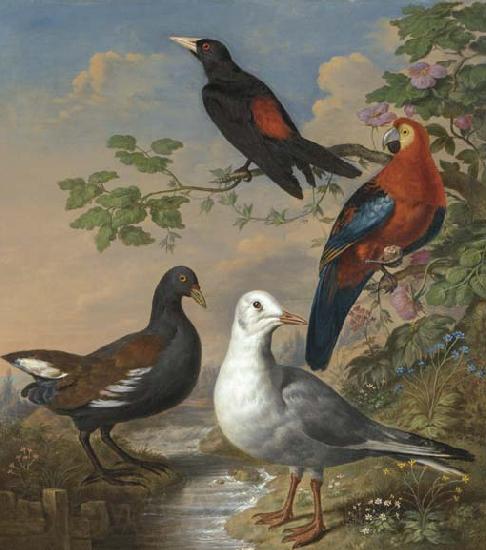 Philip Reinagle A Moorhen, A Gull, A Scarlet Macaw and Red-Rumped A Cacique By a Stream in a Landscape Spain oil painting art